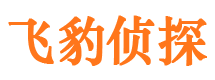 连平市婚外情调查